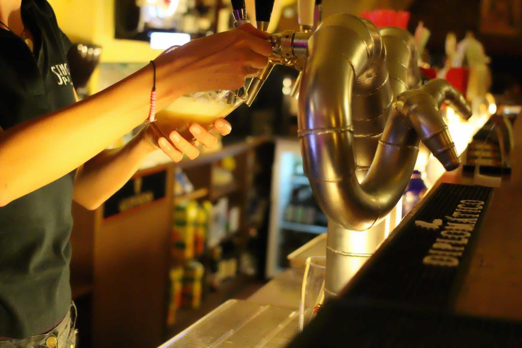 Hostel Singer Pub Τσέσκε Μπουντεγιόβιτσε Εξωτερικό φωτογραφία